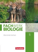 Cover-Bild zum Titel 'Fachwerk Biologie - Sachsen. 5. Schuljahr - neuer Lehrplan - Schülerbuch - Neubearbeitung' von 'Ulrike Dives, Ulrike Dörflinger, Udo Hampl, Marianne Herrmann, Isabelle Kunst'