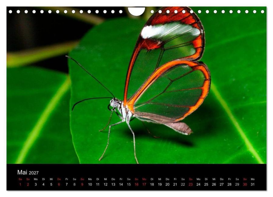 InsideView 10