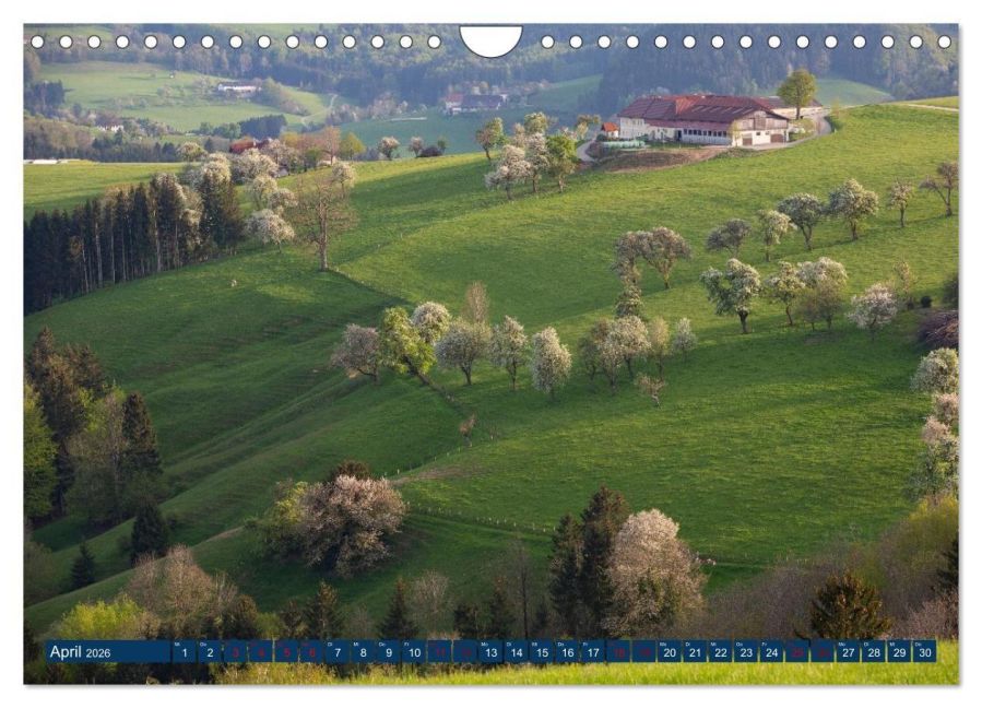 InsideView 9
