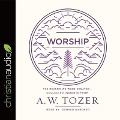 Worship: The Reason We Were Created-Collected Insights from A. W. Tozer - A. W. Tozer