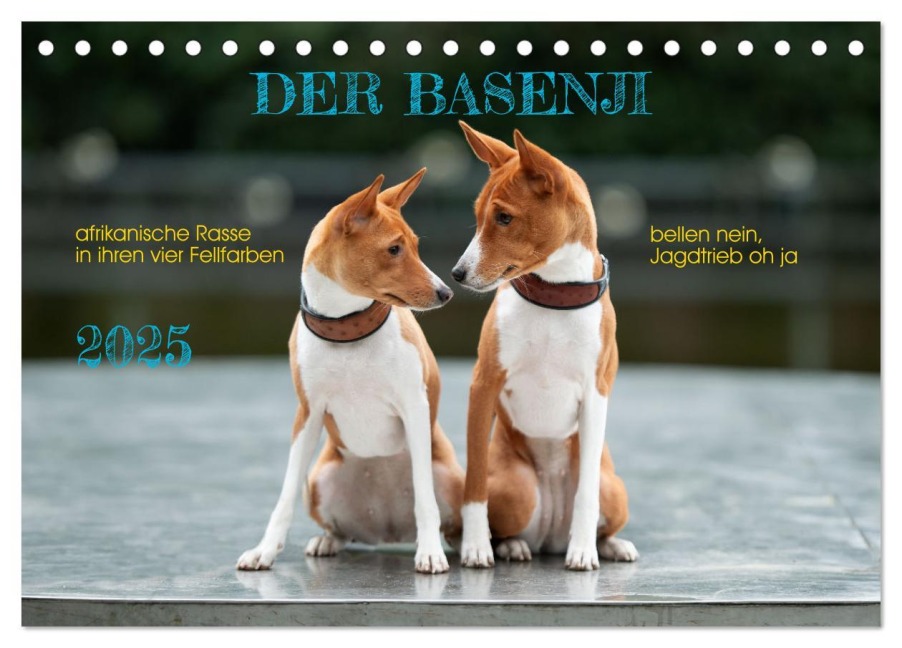 Der Basenji (Tischkalender 2025 DIN A5 quer), CALVENDO Monatskalender - Angelika Joswig