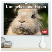 Kaninchen und Hasen (hochwertiger Premium Wandkalender 2026 DIN A2 quer), Kunstdruck in Hochglanz - Elisabeth Stanzer