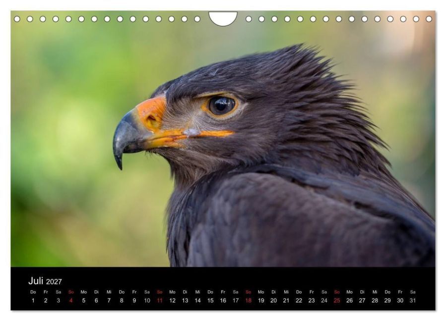 InsideView 12