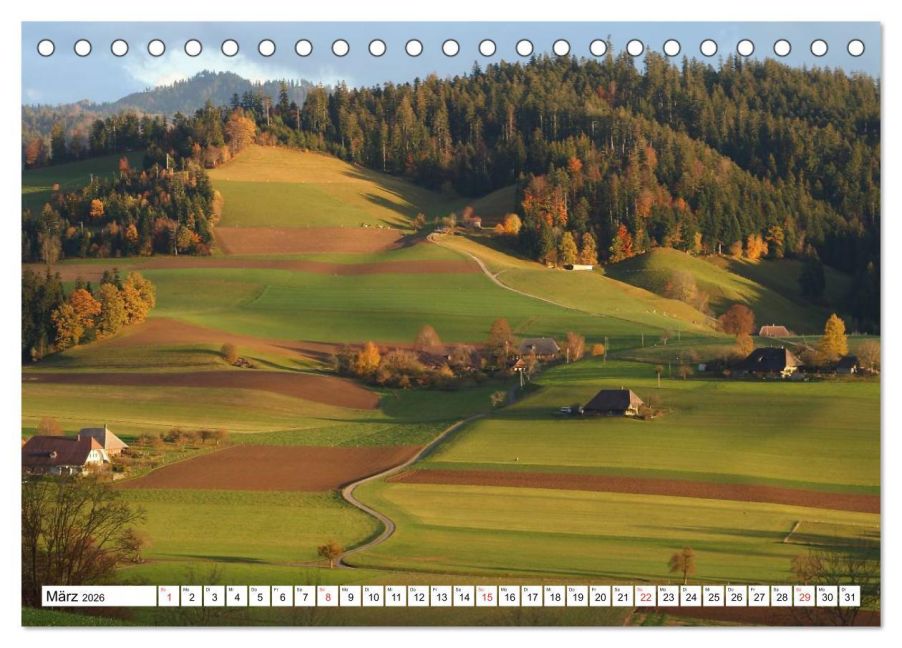 InsideView 8
