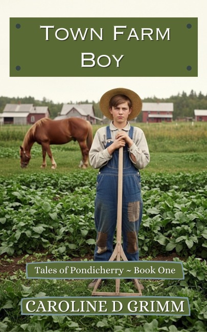 Town Farm Boy (Tales of Pondicherry, #1) - Caroline D Grimm