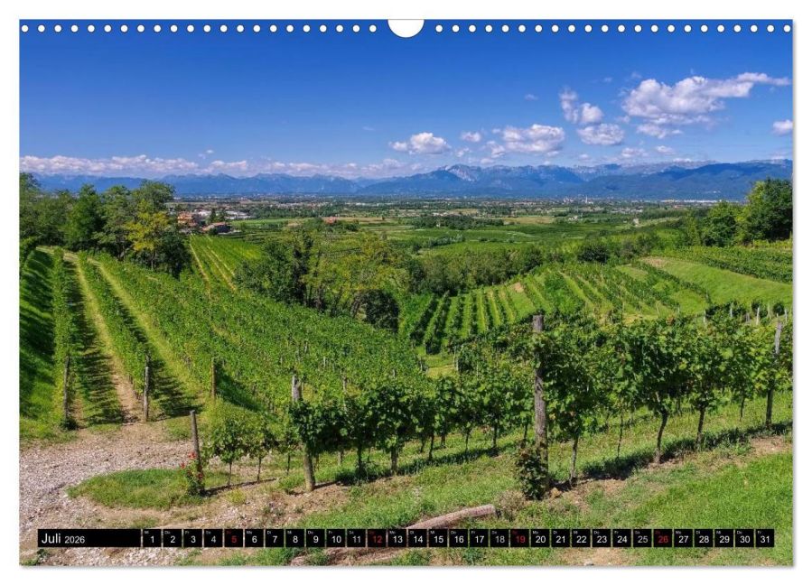 InsideView 12