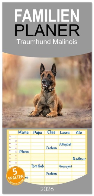 Familienplaner 2026 - Traumhund Malinois mit 5 Spalten (Wandkalender, 21 x 45 cm) CALVENDO - Martina Wrede - Wredefotografie
