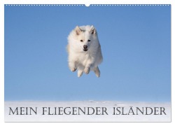 Cover-Bild zum Titel 'Mein fliegender Isländer (Wandkalender 2026 DIN A2 quer), CALVENDO Monatskalender' von 'Monika Scheurer'