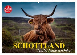Cover-Bild zum Titel 'Schottland. Herbe Naturschönheit (Wandkalender 2026 DIN A2 quer), CALVENDO Monatskalender' von 'Elisabeth Stanzer'