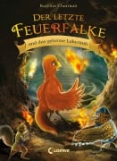 Der letzte Feuerfalke und das geheime Labyrinth - Katrina Charman