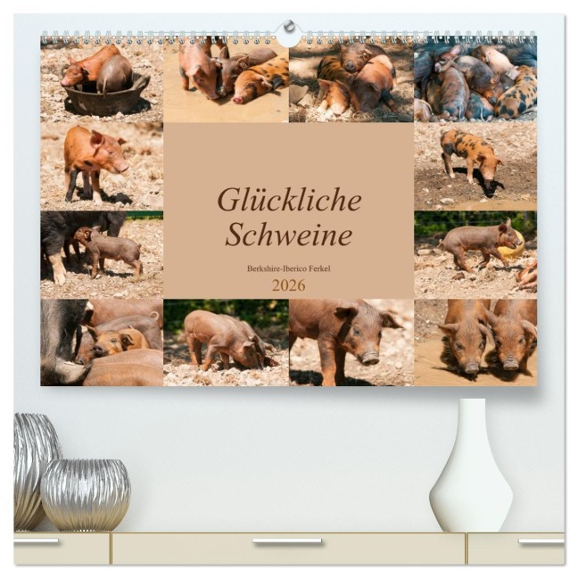 Glückliche Schweine Berkshire-Iberico Ferkel (hochwertiger Premium Wandkalender 2026 DIN A2 quer), Kunstdruck in Hochglanz - Meike Bölts