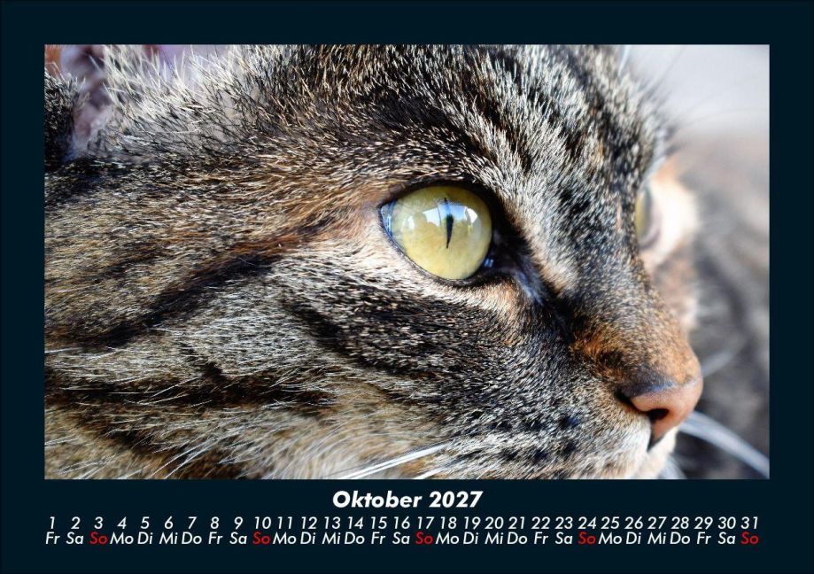 InsideView 2