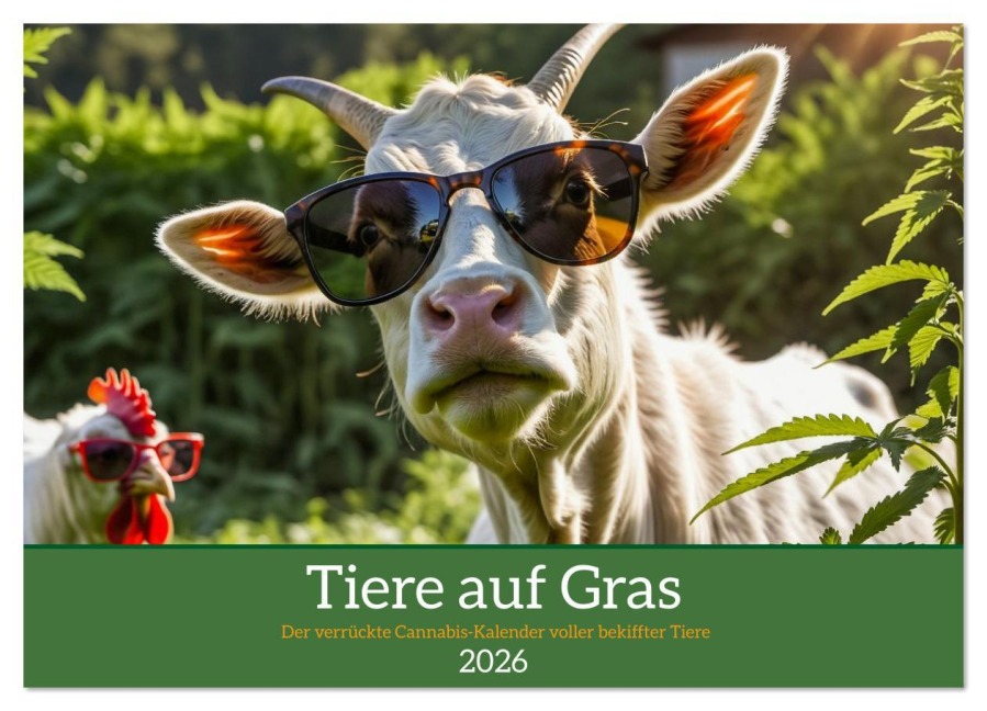 Tiere auf Gras - Der verrückte Cannabis-Kalender voller bekiffter Tiere (Wandkalender 2026 DIN A3 quer), CALVENDO Monatskalender - Mb Fotografie