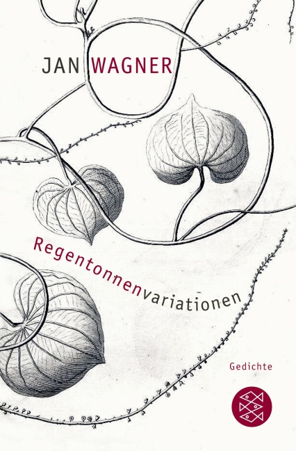 Regentonnenvariationen - Jan Wagner
