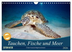 Cover-Bild zum Titel 'Tauchen, Fische und Meer (Wandkalender 2026 DIN A4 quer), CALVENDO Monatskalender' von 'Sven Gruse'