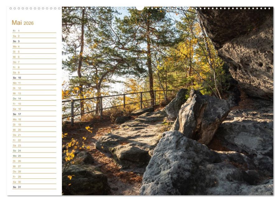 InsideView 10