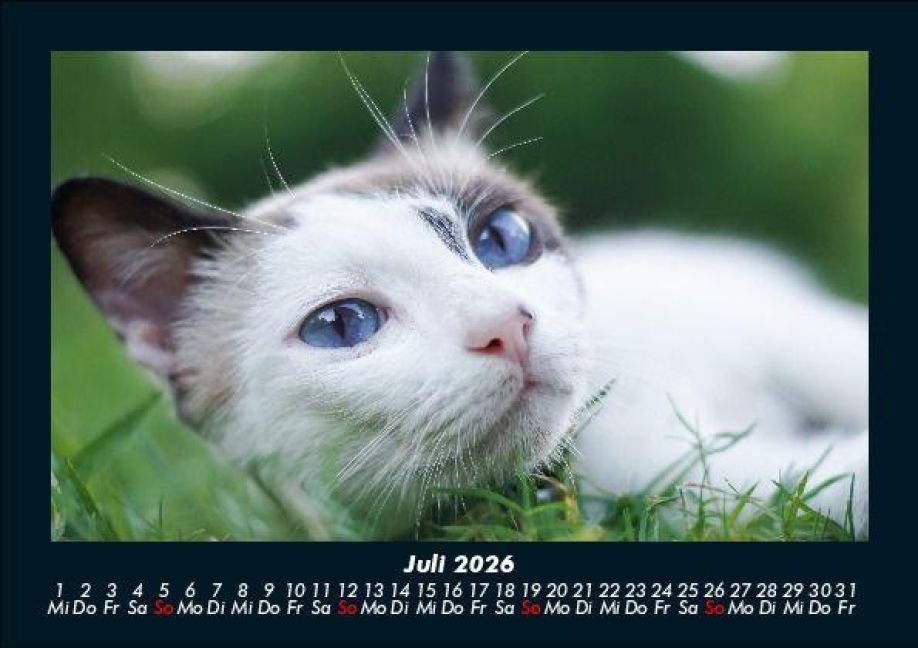 InsideView 11