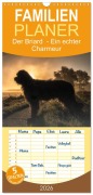 Familienplaner 2026 - Der Briard - Ein echter Charmeur mit 5 Spalten (Wandkalender, 21 x 45 cm) CALVENDO - Sonja Teßen