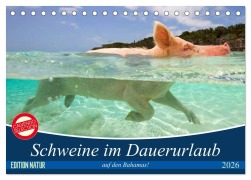 Cover-Bild zum Titel 'Schweine im Dauerurlaub auf den Bahamas! (Tischkalender 2026 DIN A5 quer), CALVENDO Monatskalender' von 'Elisabeth Stanzer'