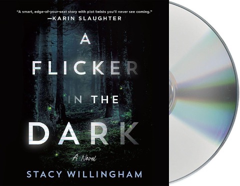 A Flicker in the Dark - Stacy Willingham