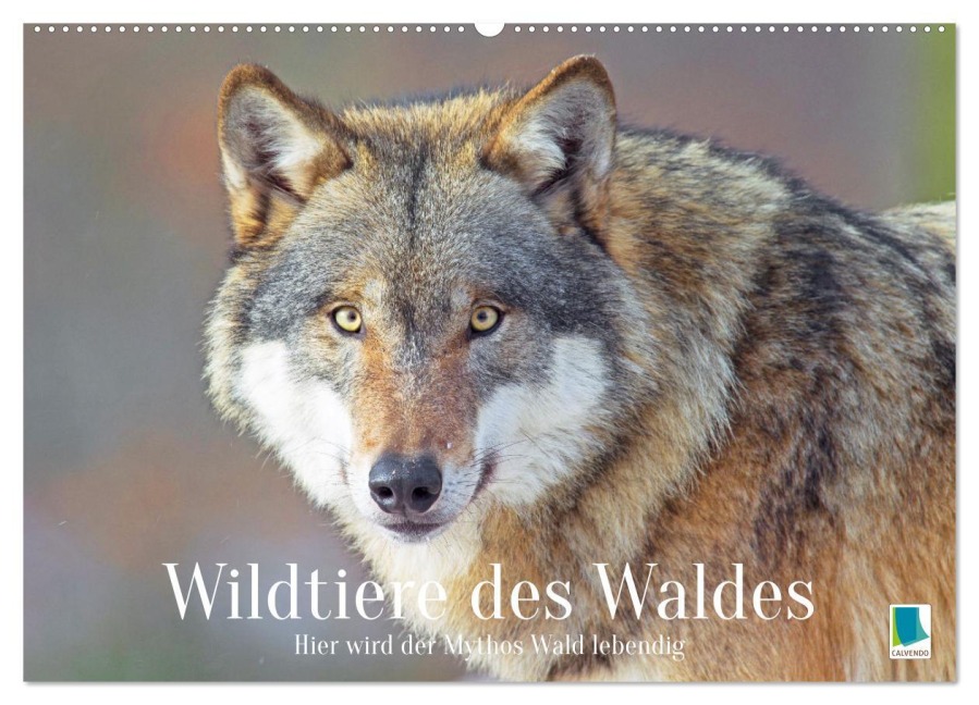 Wildtiere des Waldes: Hier wird der Mythos Wald lebendig (Wandkalender 2026 DIN A2 quer), CALVENDO Monatskalender - Calvendo Calvendo