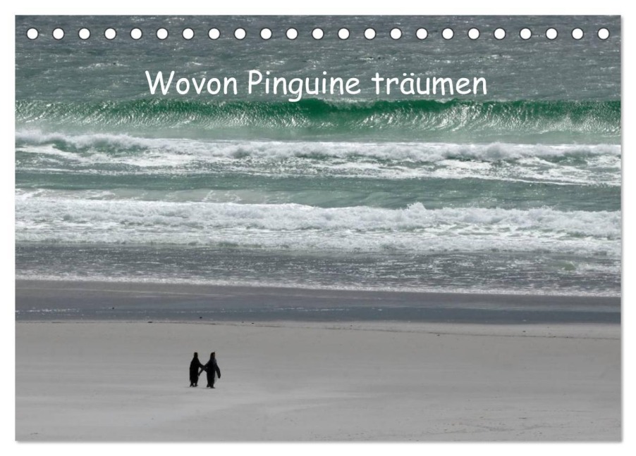 Wovon Pinguine träumen (Tischkalender 2026 DIN A5 quer), CALVENDO Monatskalender - Rolf Skrypzak