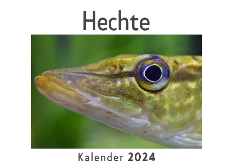Hechte (Wandkalender 2024, Kalender DIN A4 quer, Monatskalender im Querformat mit Kalendarium, Das perfekte Geschenk) - Anna Müller