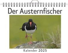 Cover-Bild zum Titel 'Der Austernfischer' von 'Henry König'