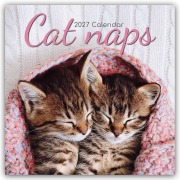 Cover-Bild zum Titel 'Cat Naps - Träumende Katzen 2027 - 16-Monatskalender' von 'Gifted Stationery Co. Ltd'
