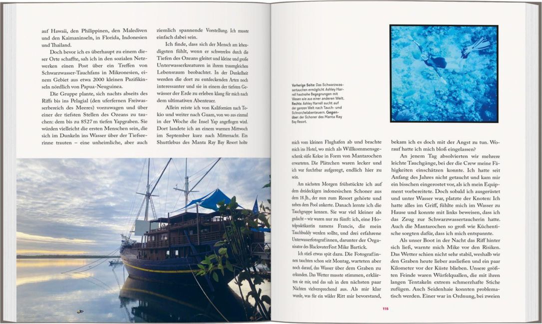 InsideView 4