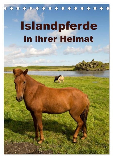 Islandpferde in ihrer Heimat (Tischkalender 2025 DIN A5 hoch), CALVENDO Monatskalender - Winfried Rusch