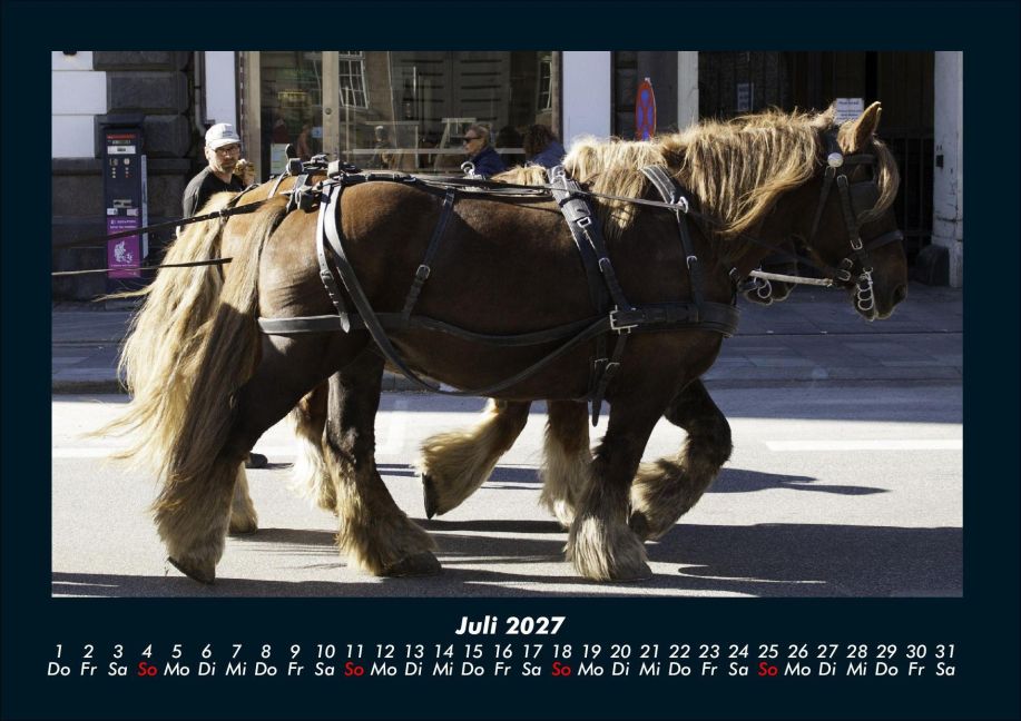 InsideView 11
