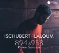 Cover-Bild zum Titel 'Schubert: Sonatas D. 894 & D. 958' von 'Adam Laloum'