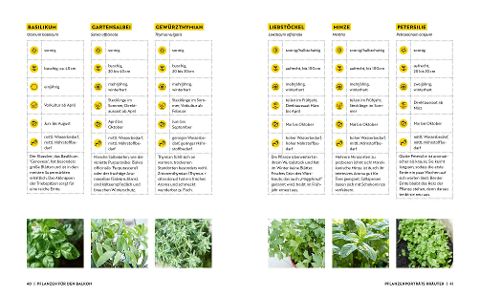 InsideView 5