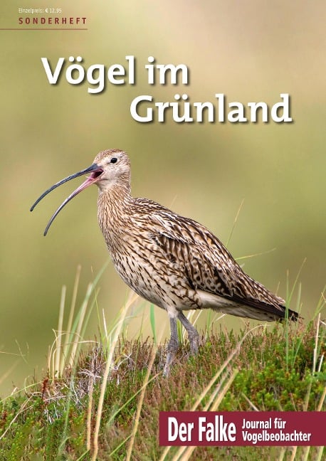 Vögel im Grünland - 