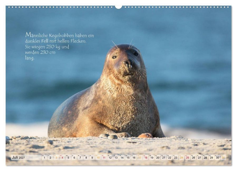 InsideView 12