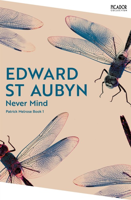 Never Mind - Edward St Aubyn