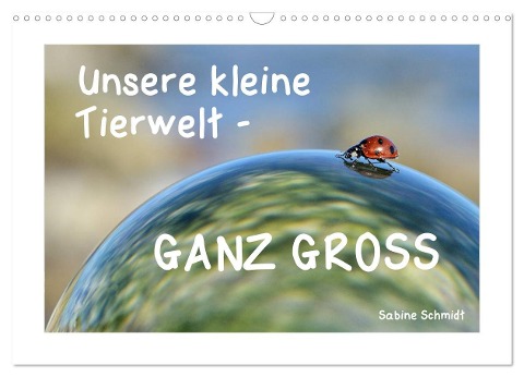 Unsere kleine Tierwelt - GANZ GROSS (Wandkalender 2025 DIN A3 quer), CALVENDO Monatskalender - Sabine Schmidt