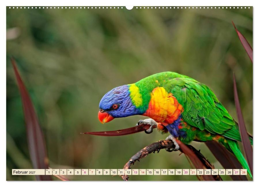 InsideView 6