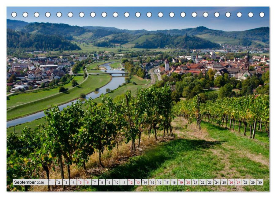 InsideView 14