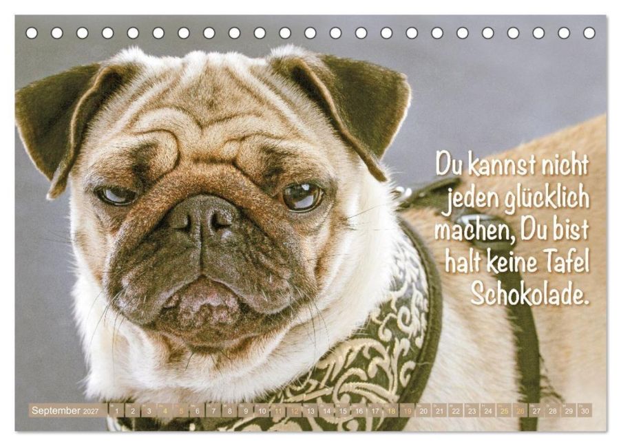 InsideView 14