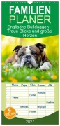 Cover-Bild zum Titel 'Familienplaner 2027 - Englische Bulldoggen - Treue Blicke und große Herzen mit 5 Spalten (Wandkalender, 21 x 45 cm) CALVENDO' von 'Melanie Viola'