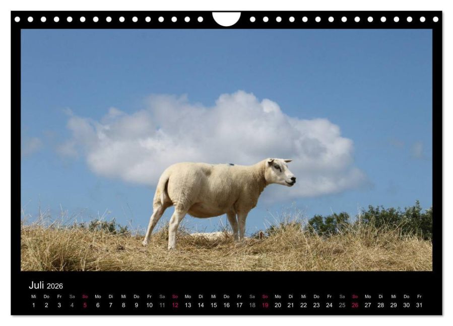 InsideView 12
