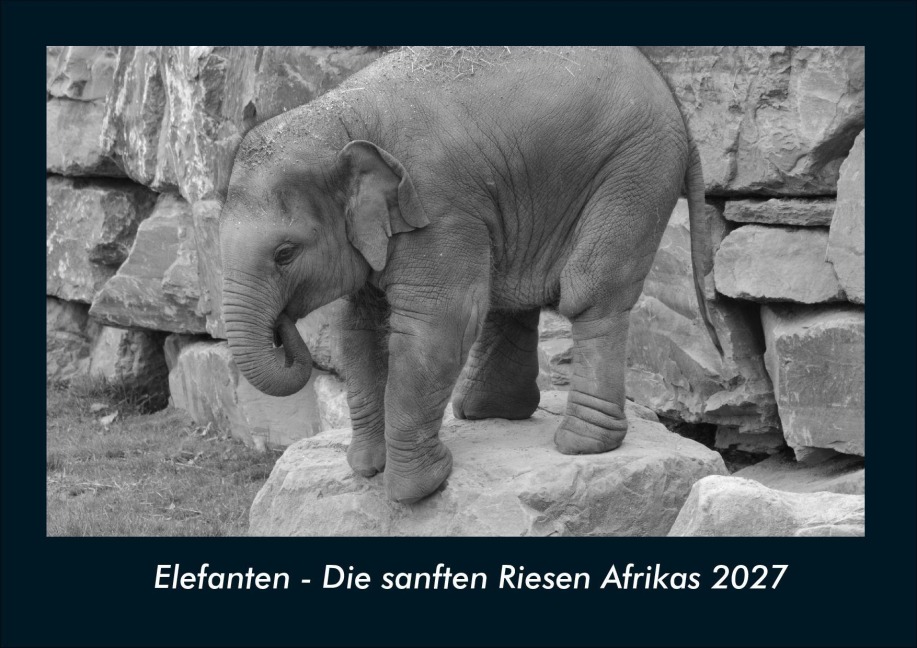 Elefanten - Die sanften Riesen Afrikas 2027 Fotokalender DIN A4 - Tobias Schmitt, Kevin Heber