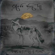 Cover-Bild zum Titel 'Alone In A World Of Wounds' von 'Steve von Till'