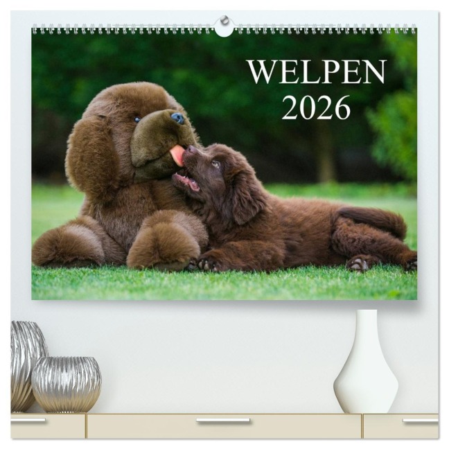 Welpen 2026 (hochwertiger Premium Wandkalender 2026 DIN A2 quer), Kunstdruck in Hochglanz - Sigrid Starick