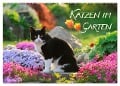 Katzen im Garten (Wandkalender 2025 DIN A2 quer), CALVENDO Monatskalender - Katho Menden
