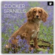 Cocker Spaniels 2026 - 16-Monatskalender - Gifted Stationery Co. Ltd