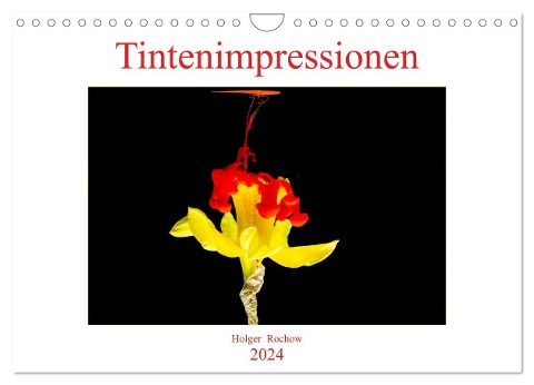 Tintenimpressionen (Wandkalender 2024 DIN A4 quer), CALVENDO Monatskalender - Holger Rochow
