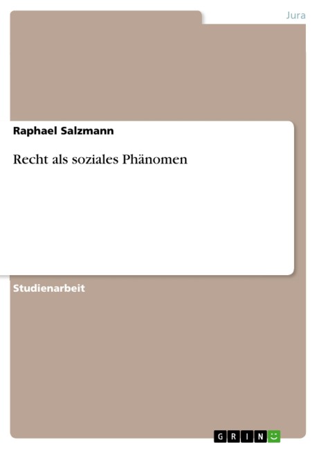 Recht als soziales Phänomen - Raphael Salzmann